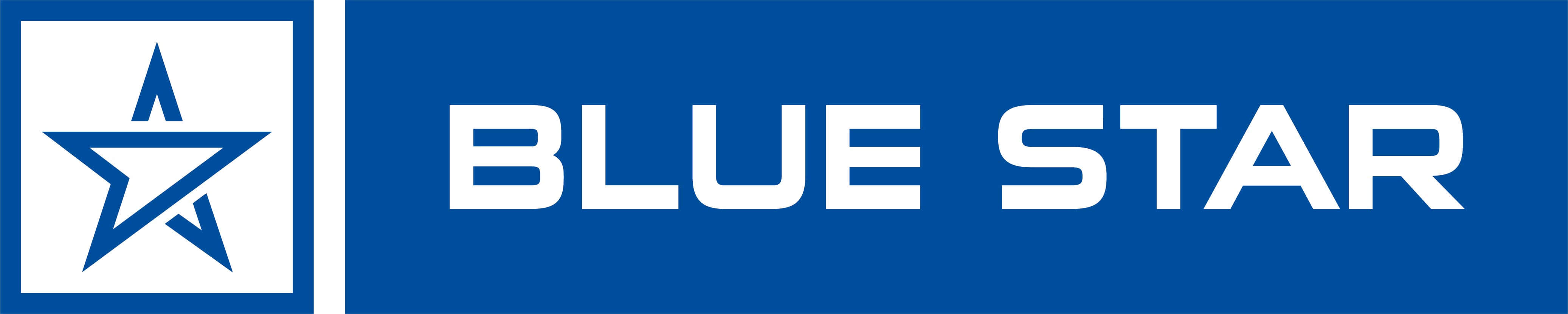 Blue Star Food & Paper Inc Photos Procure to Pay P2P Process Case Study: Improving AP Efficiency by 33%