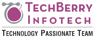 techberry-infotech-logo