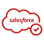 Salesforce-Native Execution