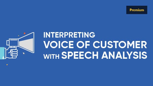 Infographics: Interpreting Voice of Customer with Speech Analysis