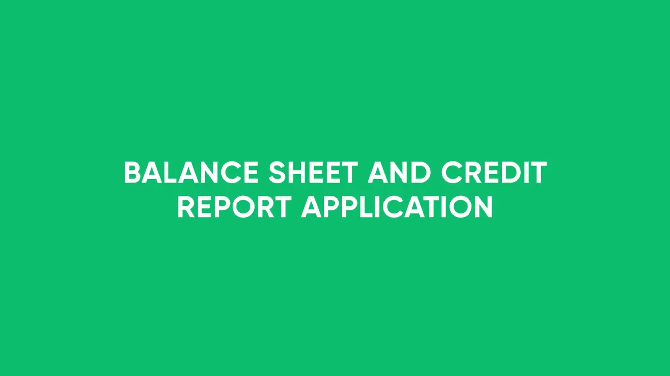 Balance Sheet and Credit Report Application