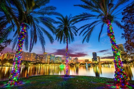 Orlando, Florida, USA downtown cityscape from Eola Lake.