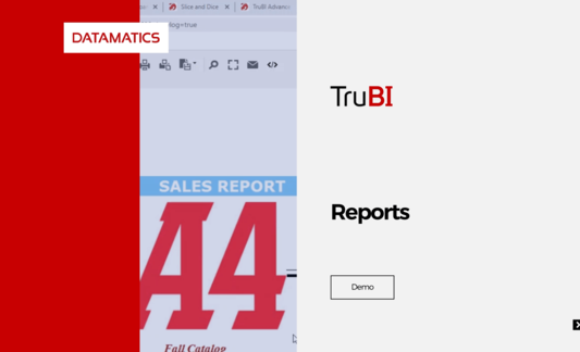 Datamatics TruBI Reports Demo