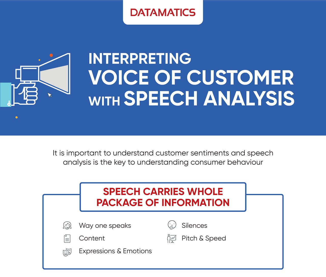 Interpreting Voice of Customer with Speech Analysis Infographics