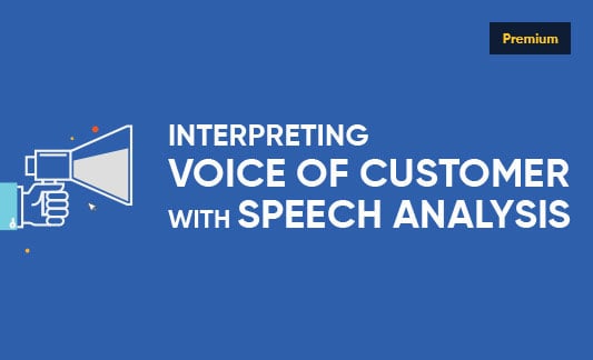 Interpreting Voice of Customer with Speech Analysis - Infographic