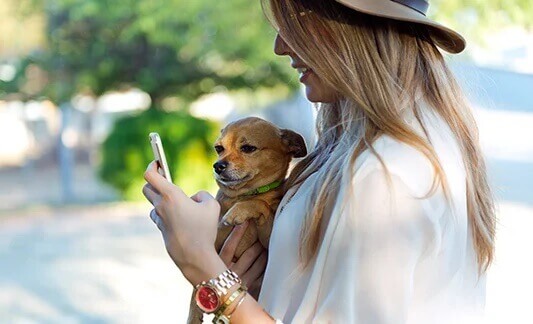 Highly Intuitive Consumer App for a Leading Pet Wellness and Healthcare Provider